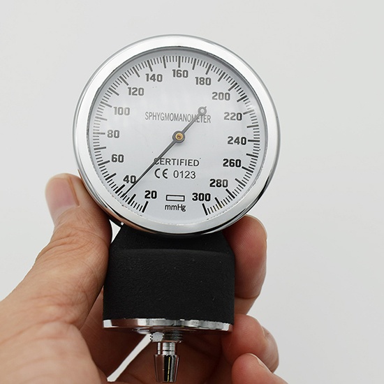 Pulox Tensiomètre manuel ANEROID Sphygmomanomètre pour la mesure